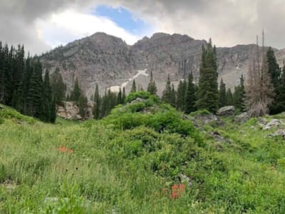 trail run